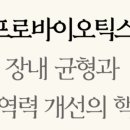 초이시스 (CHOISYS) 이미지