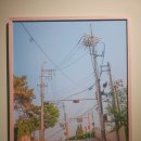 임군치킨 | 요시고 사진전을 보다.[유럽여행을 앞두며]