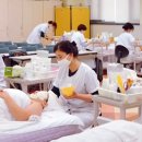 건강관리코디네이터 자격증과정 이미지