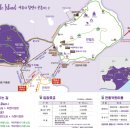 라벤더라이브