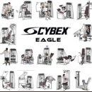 데일리 휘트니스 이미지