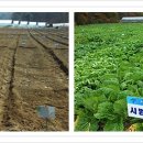 박진농장 이미지