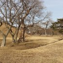 진평 Daum카페