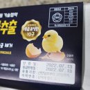 계란택배 맘란 무항생제 계란 정말 신선해