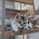 봉식농장 이미지