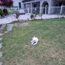 장호라임펜션 이미지