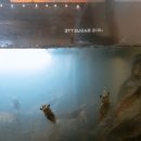 부부실내포장마차 이미지