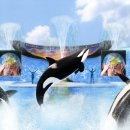 씨~월드 이미지