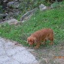 상원골민박 이미지