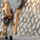 인터넷 월드 이미지