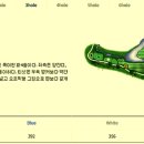 파인스톤컨트리클럽 이미지