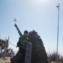 축령산풍경