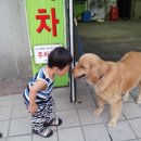 팔도세차장 이미지