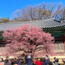 통도사로 이미지