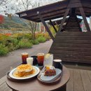 종수 농장 이미지