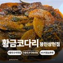 만현로2 | [용인수지맛집] 황금코다리 용인상현점｜점심특선 추천·막걸리 무제한 내돈내산 후기