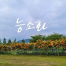 화명생태공원(화명운동장 내) 이미지