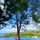 댕댕이 미장원 | 20240119 일상