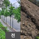 용인-구갈-구갈2 이미지