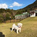 까망봉다리 이미지