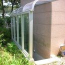 수정-115 이미지