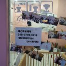 꽃보다 멍 이미지