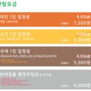 [내돈내산] 포천 평강랜드 수국축제 후기(+입장료할인팁, 도시락반입NO)