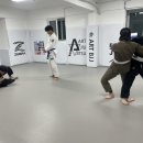 아트 주짓수 레슬링 이미지