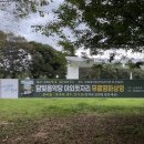 담빛음악당 무료 영화 상영 | 담빛음악당 야외돗자리 무료영화상영