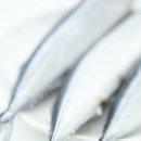 제이피디 이미지