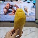 [선물추천] 대디스팜 망고 선물 받은 후기 / 망고선물 추천