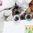 (주)베이비프리즘 이미지