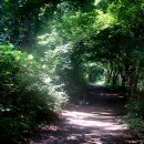 실레이야기길(봄내길 1코스) 이미지