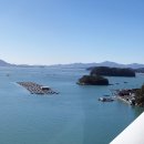 고금면-4 이미지