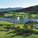 파인힐즈 이미지