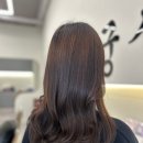 미용실 밤