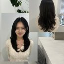 용전동 | 레이어드 펌 잘하는 대전미용실, 용전동 미프헤어 하나디렉터 후기