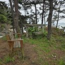 만대항 | 🌊태안 서해랑길 완주 원정대 서해랑길 72코스 : “만대항에서 꾸지나무골해변까지”