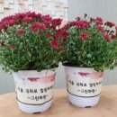 그린화원 미디어투데이