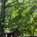 하경약국 이미지