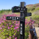지리산건강마을