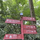 5일 상하이여행 3일차(2) / 항저우 당일치기_항저우 가볼만한 곳 : 영은사(비래봉,영은사),영복사 가보기