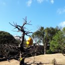 생각하는 정원 이미지