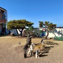 송정원순두부