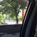 최가네 흑염소 이미지