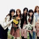 선아일랜드 이미지