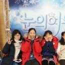 가족뮤지컬 눈의 여왕 이미지