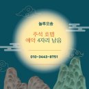 놀루오숑 | 대전애견호텔 추천 놀루오숑☎️산책or루프탑 편히쉬다가세요🌈