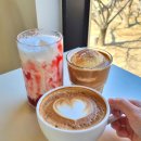 마비정길 | [마비정 카페] 대구 자연충만에서 힐링한 내돈내산 방문후기