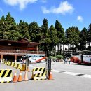 아리산 Daum카페